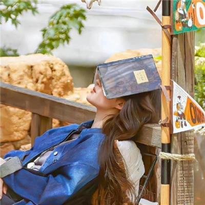 稻浪上的梦想家